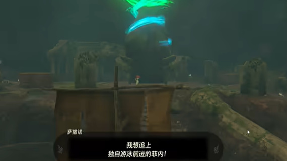 王国之泪宝贵的宝物通关攻略 塞尔达宝贵的宝物怎么过图片6