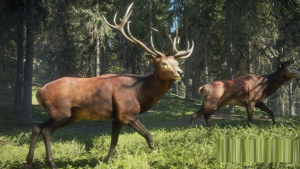 猎人荒野的召唤修改器