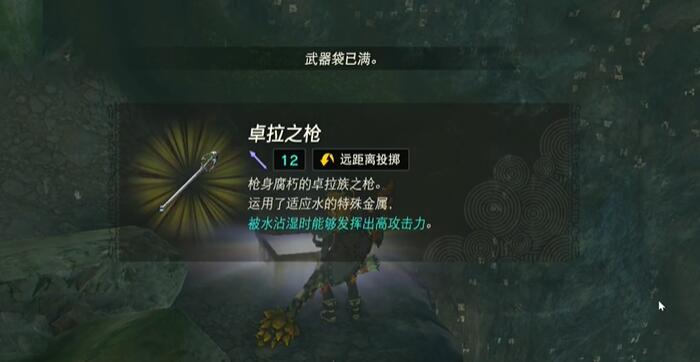 王国之泪卓拉族的荣誉光鱗之枪任务攻略 塞尔达卓拉族的荣誉光鱗之枪怎么过图片5