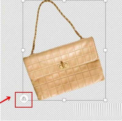 可以将主体放大、缩小或翻转