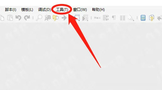 010editor汉化破解版