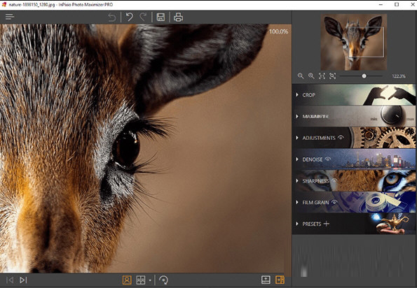InPixio Photo Maximizer 5 Pro