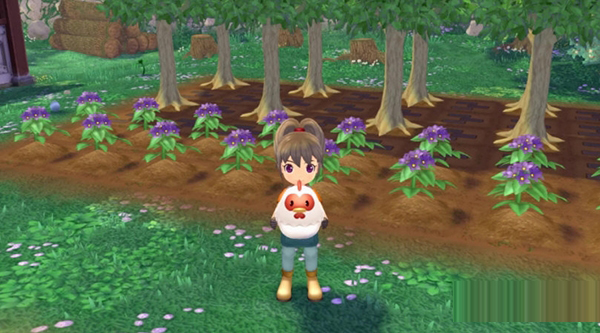 牧场物语美丽人生CE修改器1