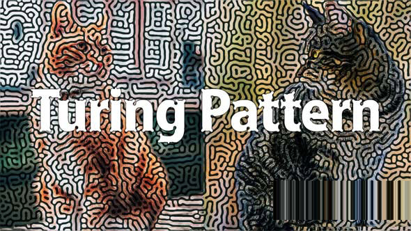 Turing Pattern