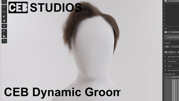 Dynamic Grooming