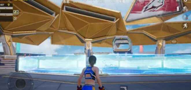 和平精英天空赛场八角笼怎么玩 天空赛场八角笼进入方法图片4