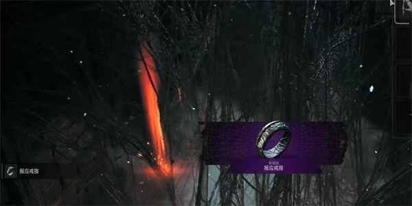 遗迹2报应戒指怎么得 报应戒指在哪里获取图片4