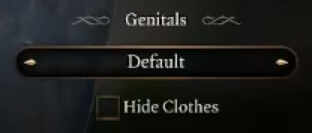 博德之门3新版怎么捏人的 博德之门3捏人教程图片13