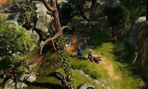 博德之门3第七章攻略 第七章找到德鲁伊任务通关教程图片3