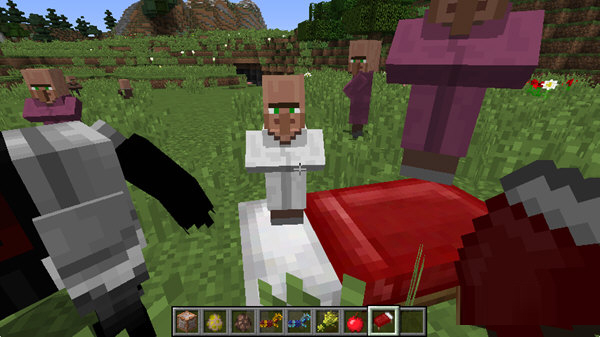 我的世界1.8繁殖村民