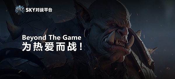sky对战平台2