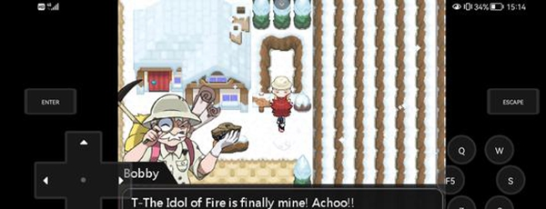 宝可梦异界汉化版14