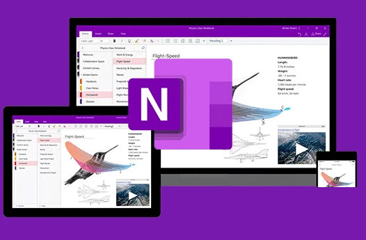 OneNote下载电脑版