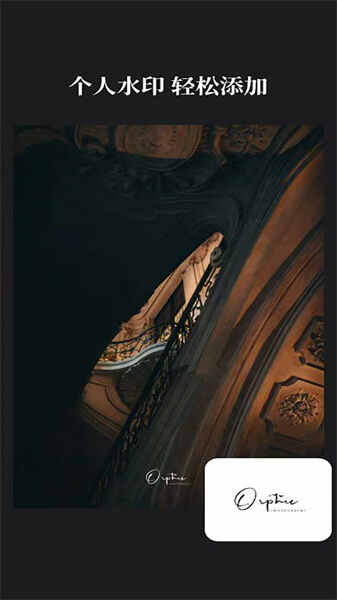 徕卡水印大师(2)