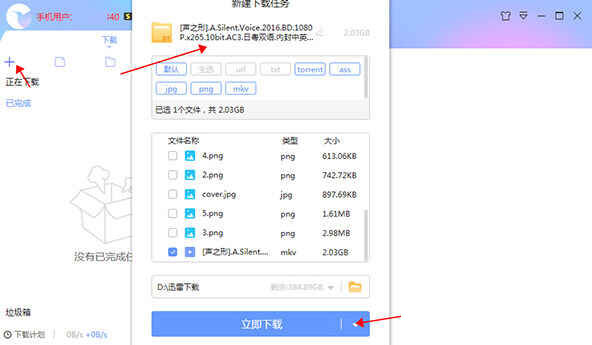 迅雷破解版无视敏感下载
