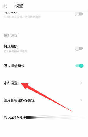 找到“水印设置”
