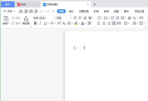 wps中石油专版下载