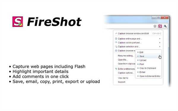 FireShot Pro