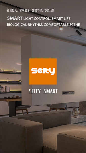 Seity smart(4)