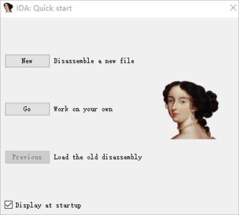 ida pro中文破解版