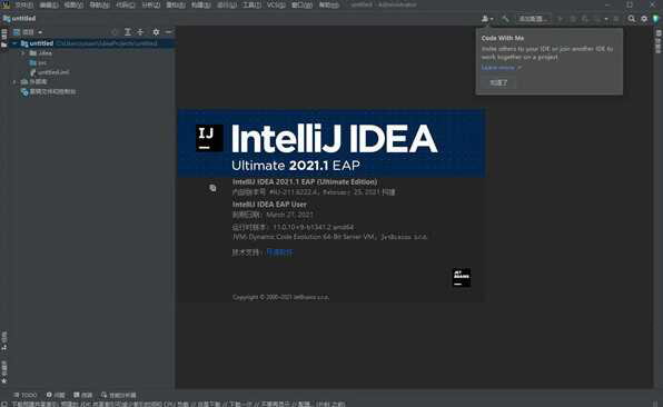 IntelliJ IDEA 2021