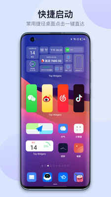 万能小组件Top(1)