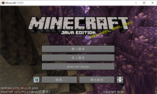 我的世界1.17.1电脑版