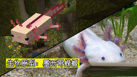 我的世界1.17.1蝾螈