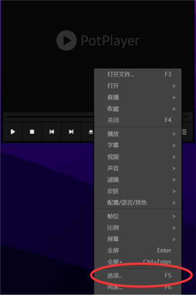 PotPlayer无广告最后一版