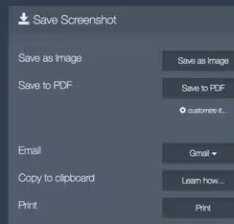 FireShot Pro破解版