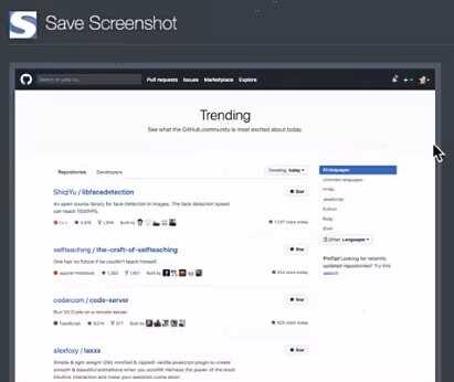 FireShot Pro破解版