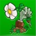 植物大战僵尸无尽版修改器 V1.2 绿色免费版