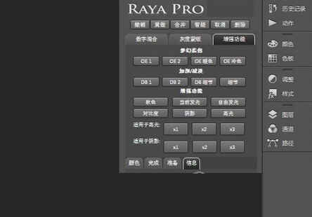 raya pro 6.0汉化版