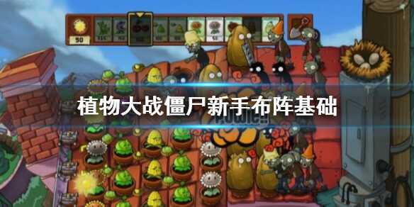 植物大战僵尸1全关卡解锁版破解版