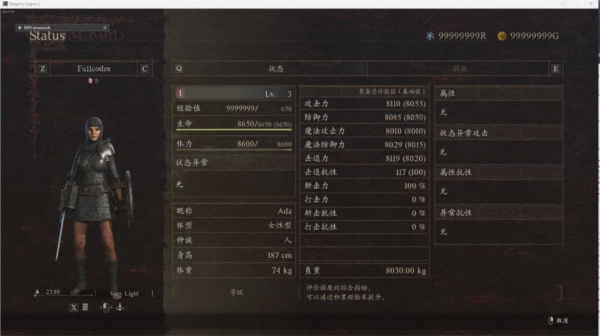 龙之信条2修改器