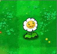 植物大战僵尸β版