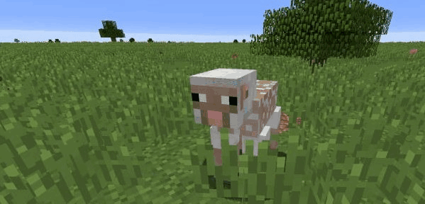 我的世界国际版电脑版下载