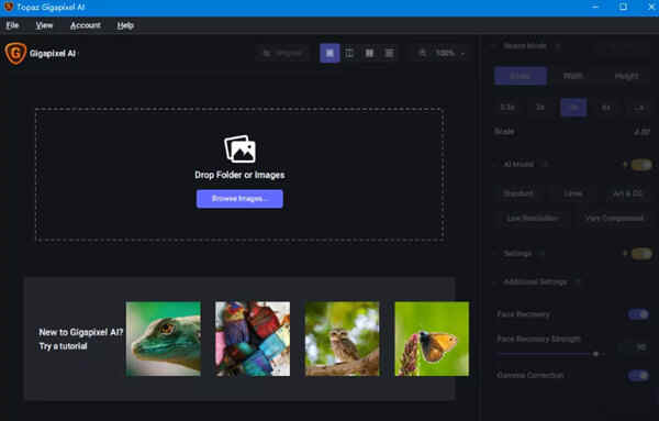 Topaz Gigapixel AI 7.0破解版