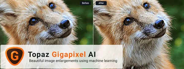 Topaz Gigapixel AI 7.0破解版