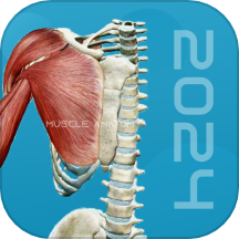 3D肌肉解剖 v1.1 安卓版