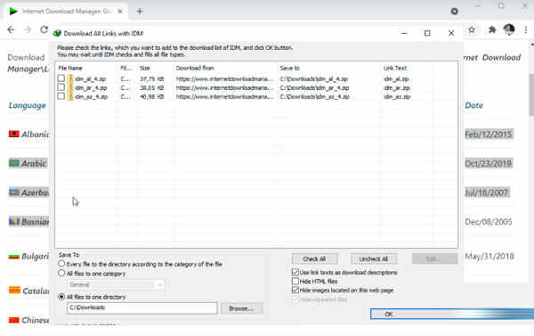 Internet Download Manager