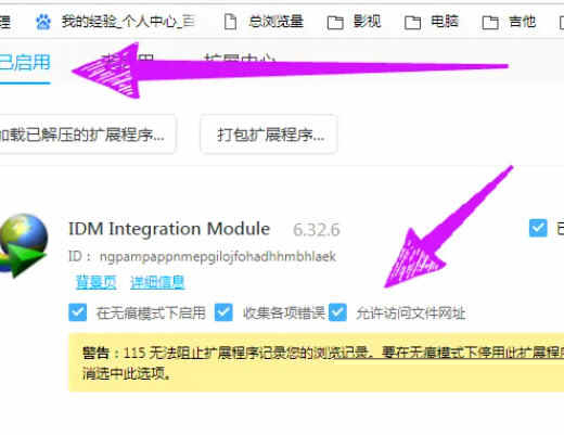 IDM下载器破解版2024
