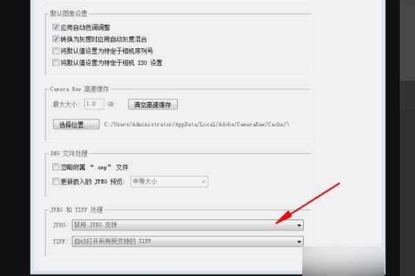 Adobe Camera Raw16下载