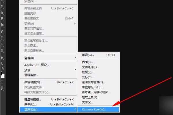 Adobe Camera Raw16下载