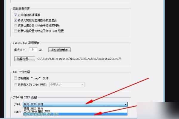 Adobe Camera Raw16下载