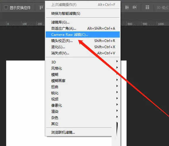 Camera Raw滤镜插件下载