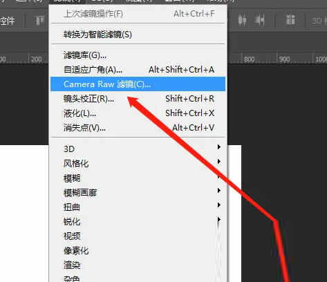 Camera Raw滤镜插件下载