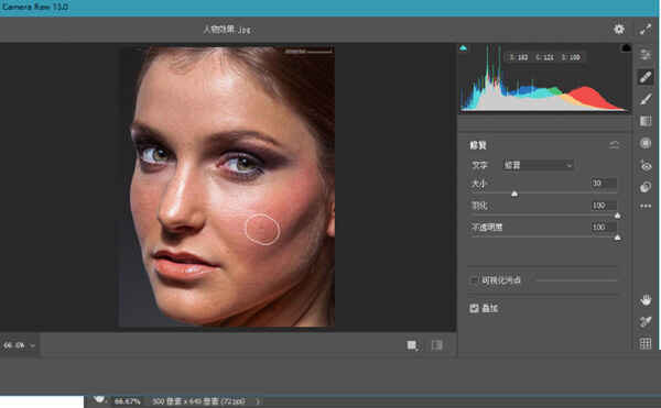 Camera Raw滤镜插件下载