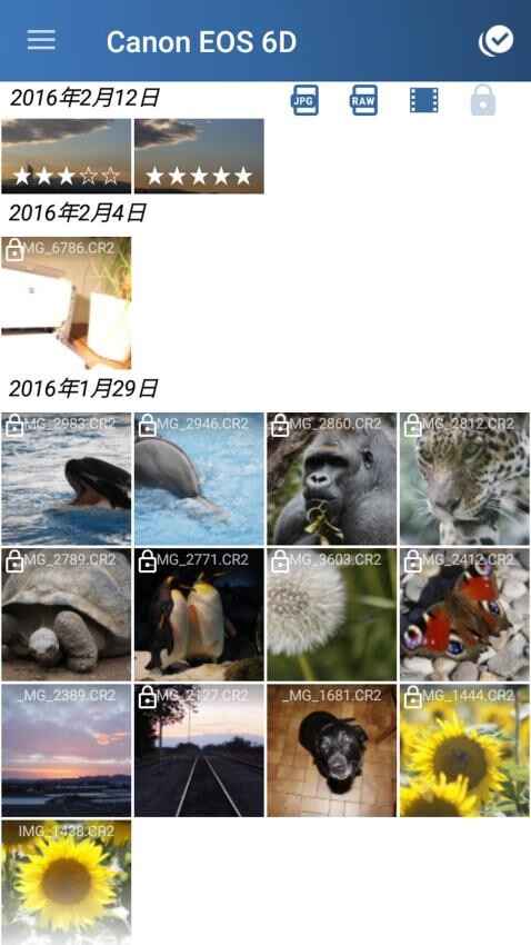 相机连接和控制